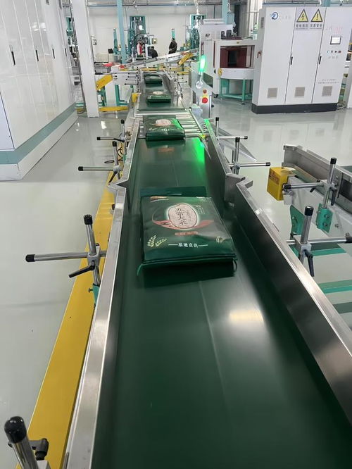 親測指南 認準GB/T 19266，選購貨真價實的五常大米